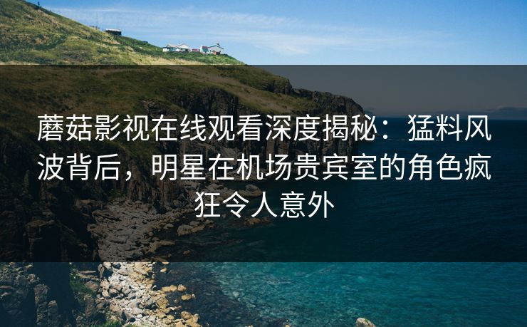 蘑菇影视在线观看深度揭秘：猛料风波背后，明星在机场贵宾室的角色疯狂令人意外
