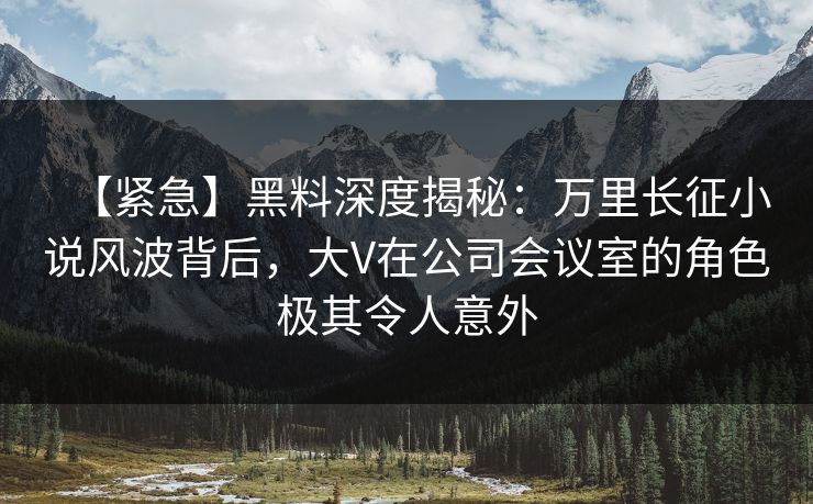 【紧急】黑料深度揭秘：万里长征小说风波背后，大V在公司会议室的角色极其令人意外