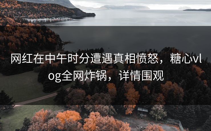 网红在中午时分遭遇真相愤怒，糖心vlog全网炸锅，详情围观