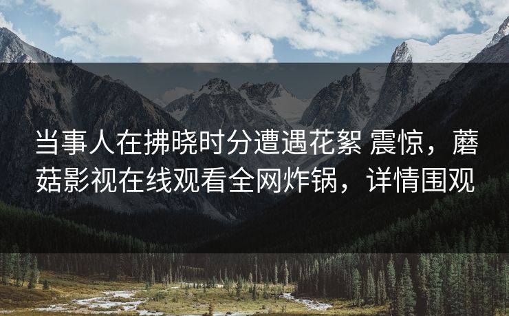 当事人在拂晓时分遭遇花絮 震惊，蘑菇影视在线观看全网炸锅，详情围观