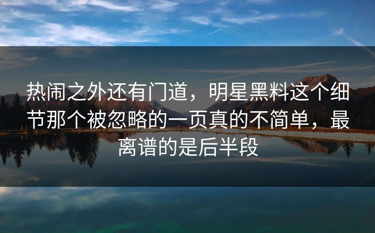 热闹之外还有门道，明星黑料这个细节那个被忽略的一页真的不简单，最离谱的是后半段